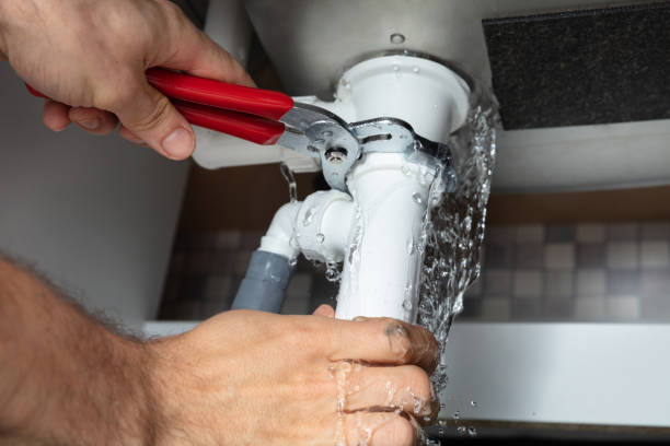 Best Mold removal after water damage  in Hampton, IL