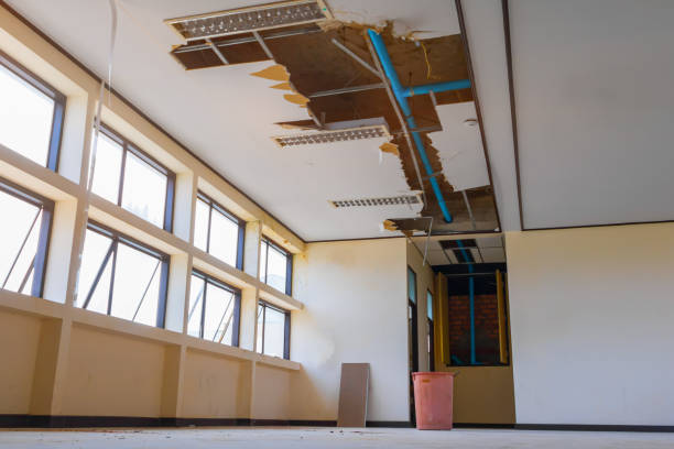 Reliable Hampton, IL Water damage restoration Solutions