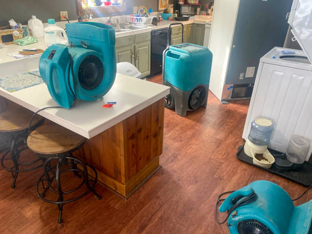 Best Ceiling water damage repair  in Hampton, IL