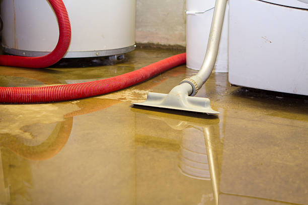 Best Emergency water damage restoration  in Hampton, IL