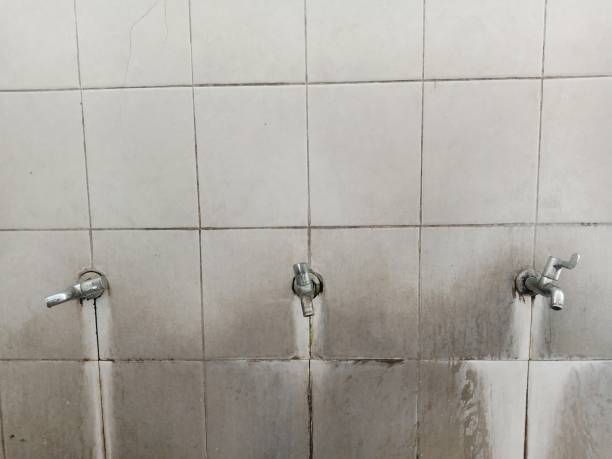 Best Commercial water damage restoration  in Hampton, IL