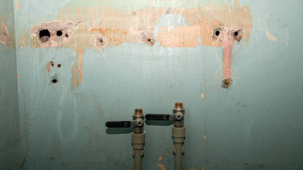 Best Water damage restoration near me  in Hampton, IL