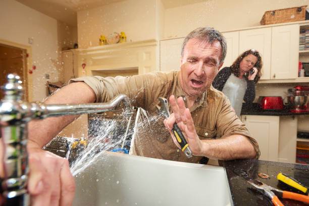 Best Local water damage restoration  in Hampton, IL